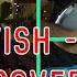 Nightwish Nemo Acoustic Folk Cover
