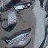 Jojo S Bizarre Adventure Stardust Crusaders Avdol Polnareff Embarrass Cameo English Dub