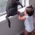 Cat Funny Happycats Catmemes Music Memes Trending Trendingshorts New Reels Cat That B