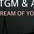 Dream Of You NELLY TGM Ashter Official Lyrics Video