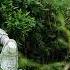 21 Lullaby Chinese Traditional Erhu Music