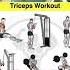Triceps Workout At Gym Best Triceps Workout Triceps Exercises Build Bigger Triceps Arms