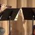 Mozart Flute Quartet In D Major K 285 Mvt 2 And 3 Adagio Rondo