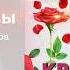 JamRemar Тимур Рахманов Красные розы