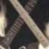 Status Quo Mony Mony Famous In The Last Century Wmv