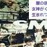 オリジナルスマイル SMAP を歌ってみた I Sang Original Smile