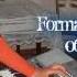 Formatia Strugura 068405740