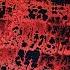 Ro Ransom See Me Fall Y2K Remix Ft Kensei Abbot Official Audio