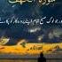 Glorify Allah Morning Evening Remembering Allah S Blessings Shortsfeed Shorts