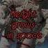 Why The Height Grows In Space Education Swh Space