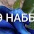 КОХРИ МИРЗОМАХМУДЧОН НАШИД Э НАББИЧОНАМ QOHRI MIRZOMHMUDJOH A NABIJONAM