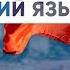 Уроки румынского языка Прилагательные Изучение новых слов на тему Одежда Урок 11