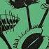 Öwnboss X Sevek Move Your Body SUBB CAJUN Remix