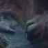 Планета обезьян Революция 2014 Dawn Of The Planet Of The Apes Трейлер на русском