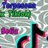 DJ TARIK SIS SEMONGKO X TERPESONA REMIX TIK TOK 2021 DJ TARIK SIS SEMONGKO VIRAL 2021
