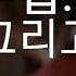 혈앵무 실험용