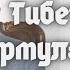 Вебинар по здоровью Тибетская формула 10 мая 2022 года Duiko