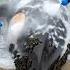 Blue Whale Rescue Saving The Ocean S Gentle Giant BlueWhaleRescue WhaleRescue OceanGiants