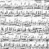 Johann Strauss II Process Polka Op 294