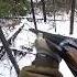 В прицеле мое путешествие по охоте на лис охота Huntingrussia Wildhunting Wildlife Foxhunting