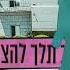 אייל גולן דפוק עם תעודות רמיקס Remix Operr DJ