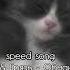 ЛСП Грязь Обманула Speed Up