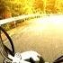 Harley Davidson Rider Semi Truck Owner Operator Drag Racer Reviews Of NMF Friction Reducer