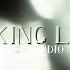 Gemini Making Love Edit Audio