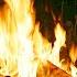 4K Night Campfire Near The Forest 100 Authentic Sounds