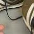 Как починить задник без его замены Ремонт кроссовок Adidas РЕЗУЛЬТАТ НА СЛЕД ВИДЕО ВЫШЕ