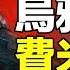 費米悖論 為什麼我們找不到外星人 烏鴉竟然可以解釋這個問題 最近幾年 鳥類學家們似乎從烏鴉身上發現了有關人類和宇宙智慧的秘密 自說自話的總裁