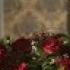 Fidel Pide Perdón A Susana Con Flores Tiempos De Guerra