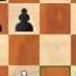 Chess Lesson English Opening Symmetrical Variation Part 2