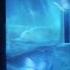 Anonymous Artists Dawn Art Kenessi Official Lyric Video