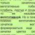 Почка зачаточный побег