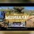 Начало уничтожения Булкина Forzahorizon Forzahorizon5 булкин игры гонки вышибала