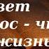 Упаси вас Господи быть людьми практичными Преподобный Варсонофий Оптинский