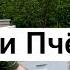 Пасека 73 Отводок Пчёл Лучшего Качества Пчеловодство для начинающих