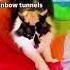 I Hope Your Week Is Filled With Rainbow And Fluffcat Calico Zoom Hyperfixation Adhd Relatable