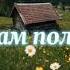 Здесь и там поля белеют