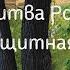Молитва Роду Защитная