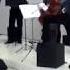 GOLTZIUS AND THE PELIKAN COMPANY Live Preview