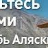 Познакомьтесь с Твитосами Полеты вглубь Аляски Discovery