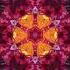 REZZ Spider On The Moon Fractal Video
