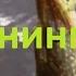 Диалоги о рыбалке Выпуск 213 Мастер класс по спиннинговым приманкам от Константина Кузьмина