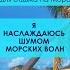 Я наслаждаюсь шумом морских волн аффирмации Shorts