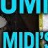 Superior Drummer 3 Demo All Midi Packs FREE