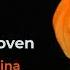 Beethoven String Quartet No 13 Op 130 5th Mov Cavatina Guarneri Quartet