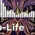 Womp Life Sanctuary