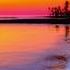 Liam Aidan Gold Skies Original